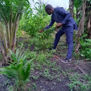 Agriculture 